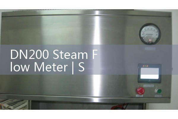 DN200 steam flowmeter